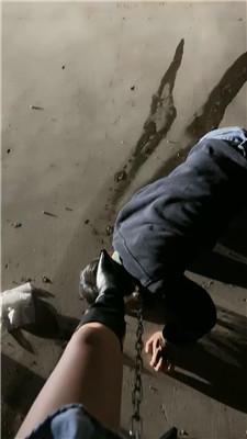 1780741587050029.jpg