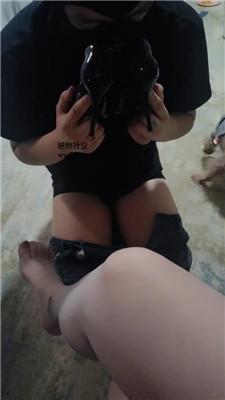 1780743043054016.jpg