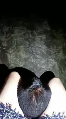 1780745043012017.jpg