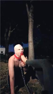 1780745097021024.jpg