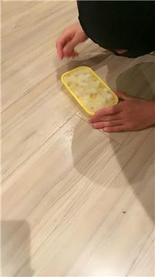 1780744938044011.jpg