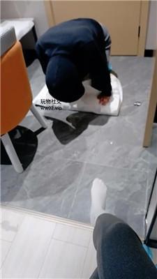 1780744724080001.jpg