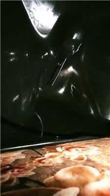1780744725159001.jpg