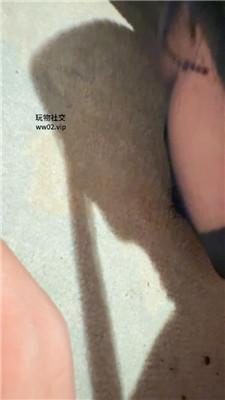 1780745022200015.jpg