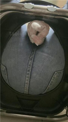 1781584971126018.jpg