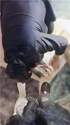 1781579909059004.jpg