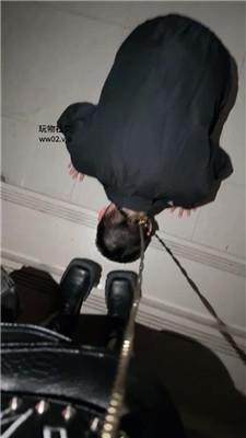 1781579908099004.jpg