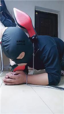 1781580144040010.jpg
