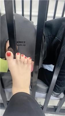 1781580167053017.jpg