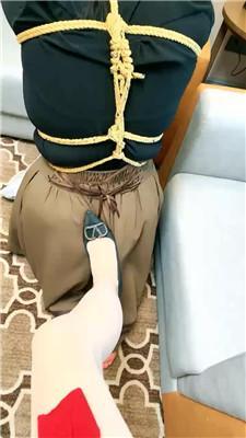 1781580222012003.jpg