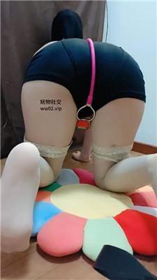 1781580211054001.jpg