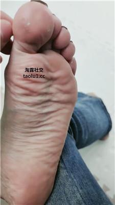 1781580500052013.jpg