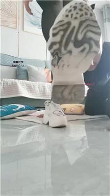 1781581151051007.jpg