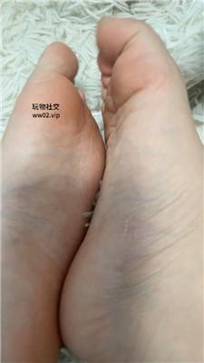 1781581154062011.jpg