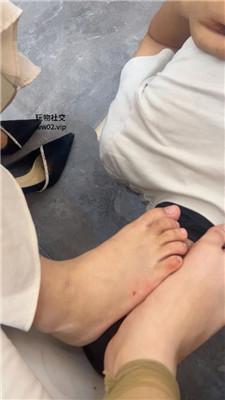 1781581167090030.jpg