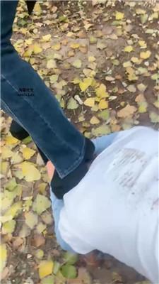1781581282016007.jpg