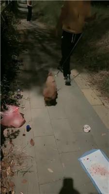 1781581291111017.jpg