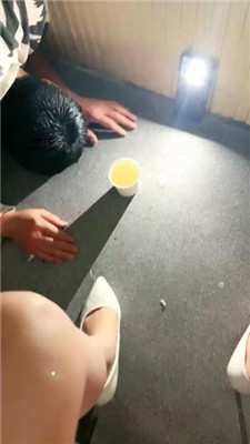 1781581297121025.jpg
