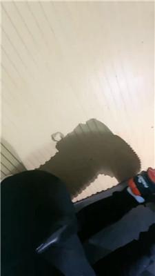 1781581346115009.jpg