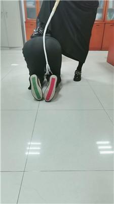 1781581761037004.jpg